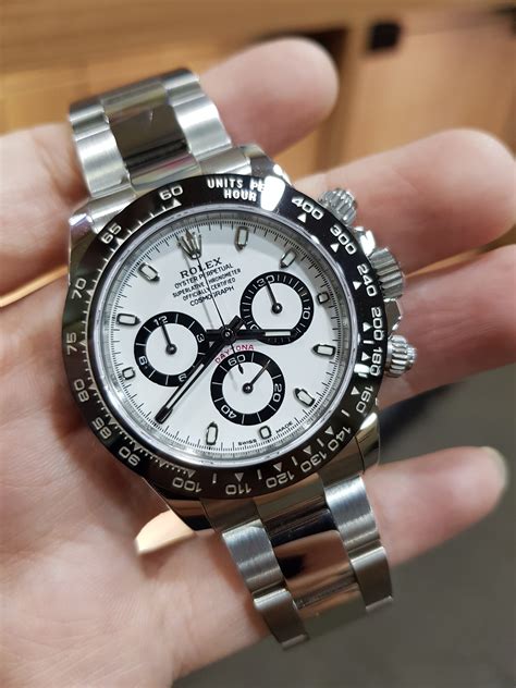 rolex daytona pandas